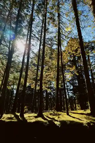 日光二荒山神社(栃木県)