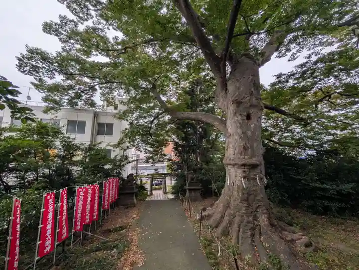 愛宕神社(福島県)