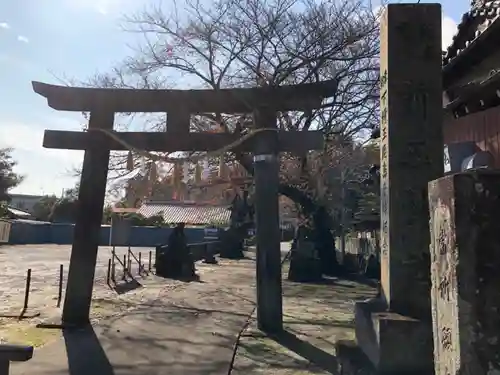 前玉神社の鳥居