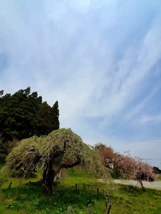 永泉寺(福島県)