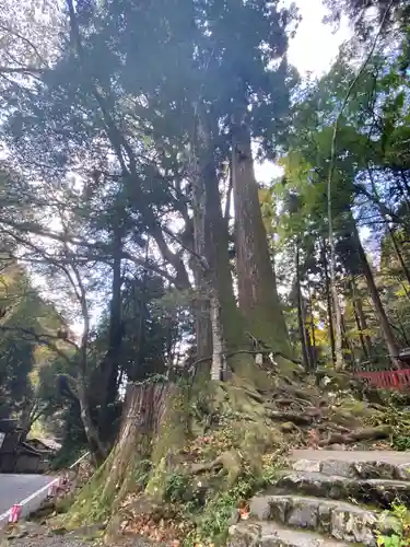 貴船神社のその他建物