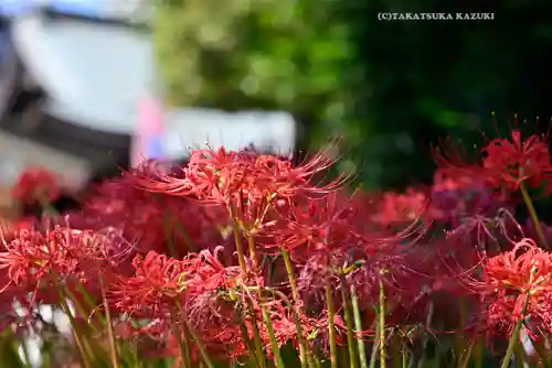磐井神社(東京都)