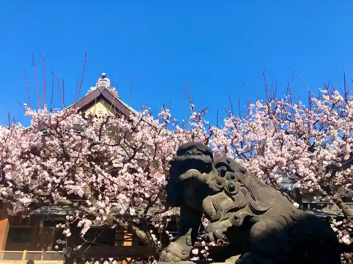 湯島天満宮の狛犬