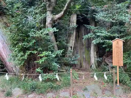 香取神宮(千葉県)