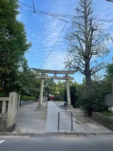 稲毛神社の鳥居