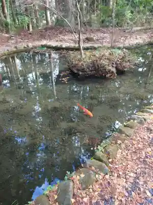都々古別神社(八槻)(福島県)