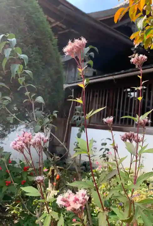 正伝護国禅寺(正伝寺・正傳寺)(京都府)