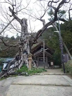 神魂伊能知奴志神社(島根県)