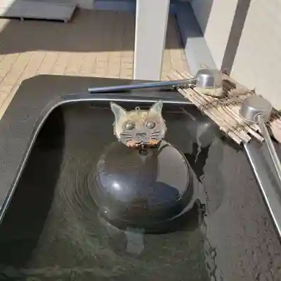 真成院の手水舎