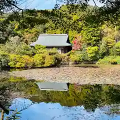 龍安寺(京都府)