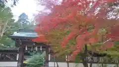 月読神社（松尾大社摂社）の山門