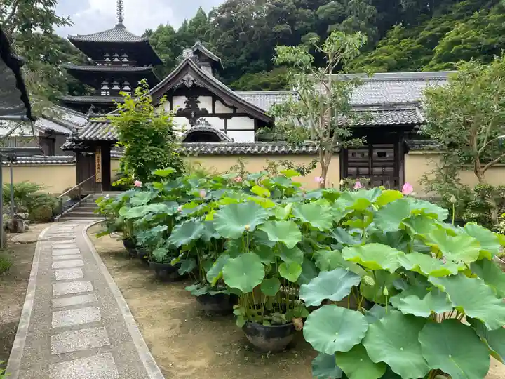 當麻寺西南院(奈良県)