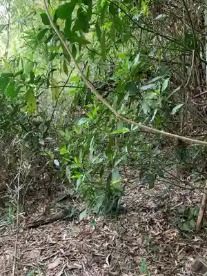 妙見神社(千葉県)