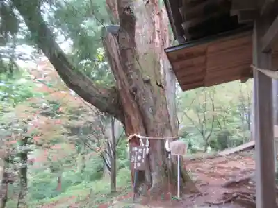 産安社(武蔵御嶽神社摂社)(東京都)