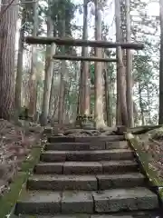 戸隠神社宝光社の鳥居