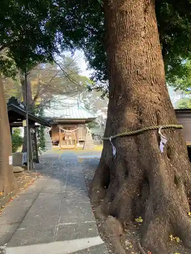 新作八幡宮(神奈川県)