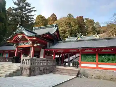 霧島神宮(鹿児島県)