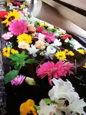 鳩森八幡神社の手水舎