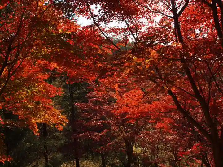 足利織姫神社の自然