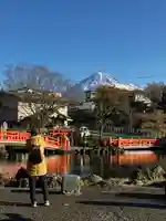 富士山本宮浅間大社(静岡県)
