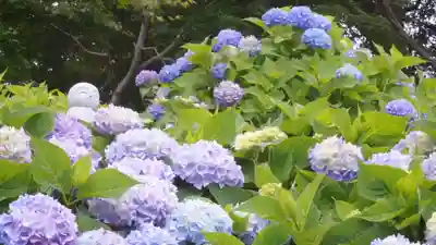 柳谷観音　楊谷寺(京都府)