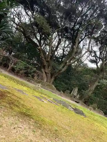 普賢寺の庭園