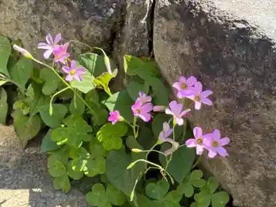 西方山極楽寺(岐阜県)