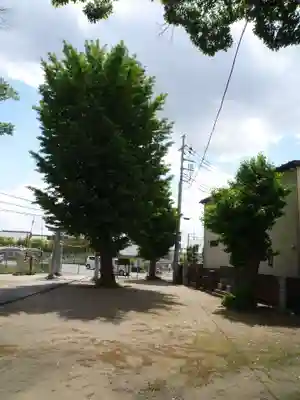 香取神社(埼玉県)