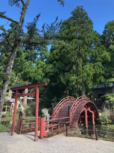 金剛證寺の庭園