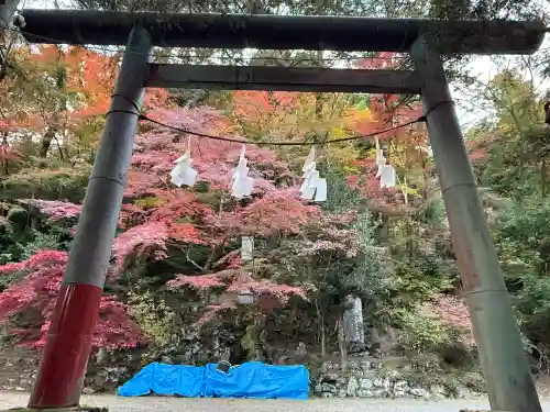 秩父御嶽神社(埼玉県)