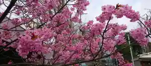 阿邪訶根神社の自然(2021年04月02日(金) 08時59分46秒投稿)