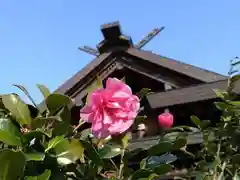 椿宮神明社(愛知県)