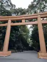 明治神宮(東京都)