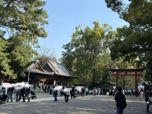 武蔵一宮氷川神社の{uncategorized: "未分類", other: "その他", undefined: "問題あり", building: "その他建物", grave: "お墓", sacred_gate: "鳥居", guardian: "狛犬", statue: "像", buddha: "仏像", history: "歴史", nature: "自然", garden: "庭園", animal: "動物", pagoda: "塔", temizu: "手水舎", mountain_gate: "山門・神門", sanctuary: "本殿・本堂", subordinate: "末社・摂社", art: "芸術", scenery: "景色", jizo: "地蔵", ema: "絵馬", goshuin: "御朱印", omikuji: "おみくじ", items: "授与品その他", amulet: "お守り", goshuincho: "御朱印帳", eats: "食事", festival: "お祭り", votive_dance: "神楽", shichigosan: "七五三参", wedding: "結婚式", experience: "体験その他", initially: "初詣", around: "周辺", anti_infection: "感染症対策"}