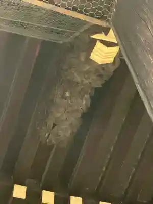 要法寺(京都府)