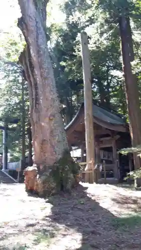 諏訪大社の自然