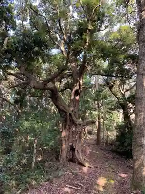 浅間神社のその他建物