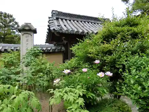 當麻寺中之坊の自然