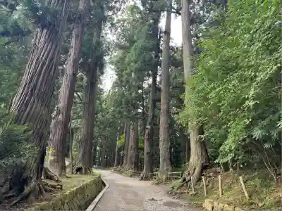 中尊寺(岩手県)
