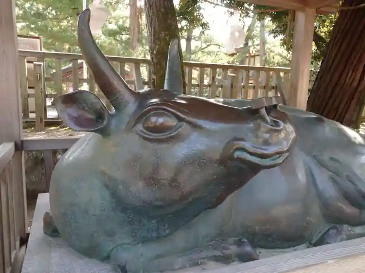 出雲大社の狛犬