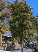 高司神社〜むすびの神の鎮まる社〜の御朱印