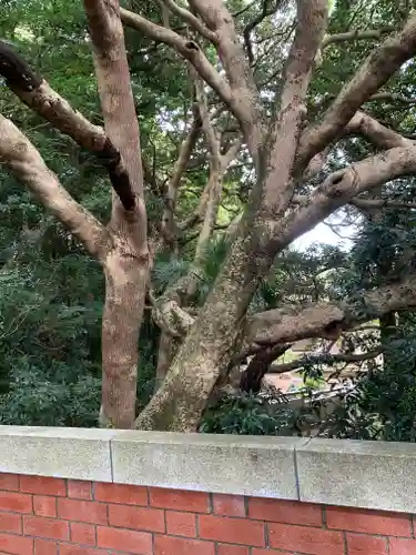 猿田神社の自然