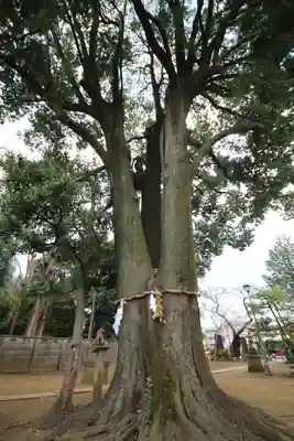 和田稲荷神社(東京都)