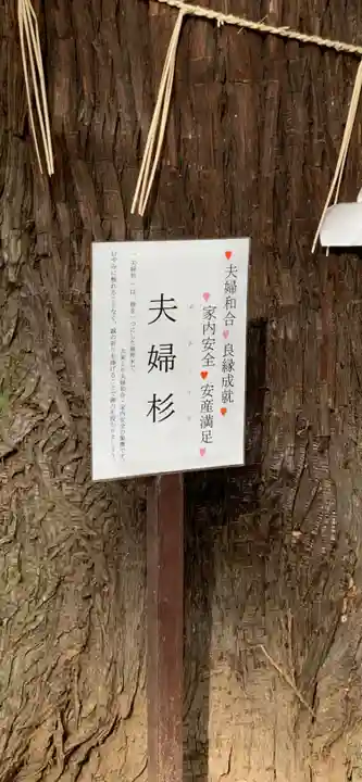 東蕗田天満社の自然