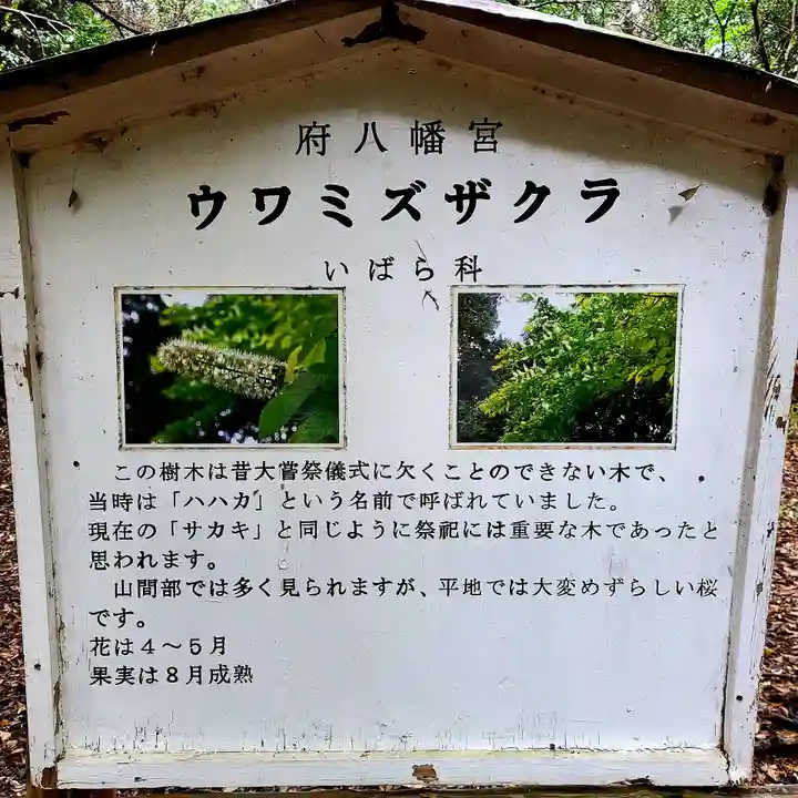 府八幡宮(静岡県)