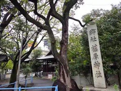 荏原神社のその他建物