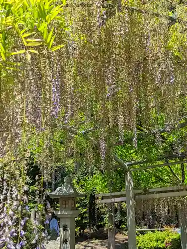 三大神社(滋賀県)