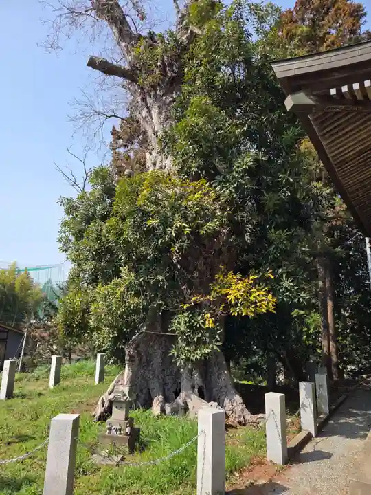 熊野神社(東京都)