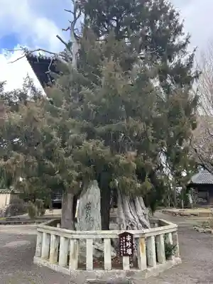 道成寺(和歌山県)