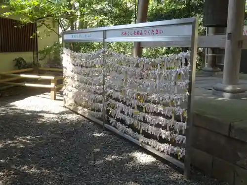 座間神社のおみくじ